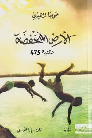 الأرض المنخفضة