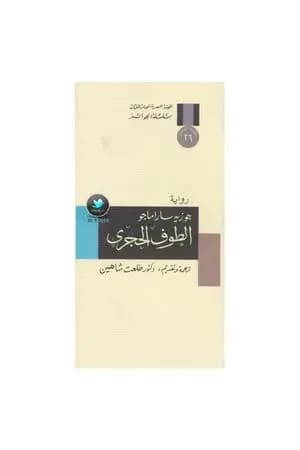 الطوف الحجري