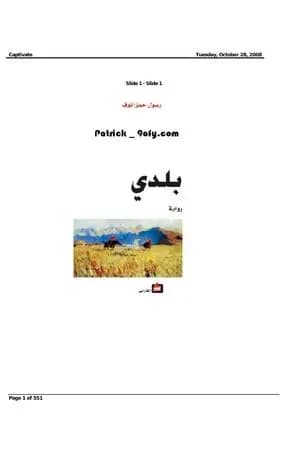 بلدي