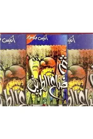 ثم ضاع الطريق