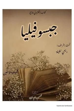 جبسوفيليا