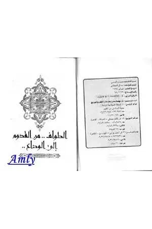 حمام الحمى - يوميات الحج