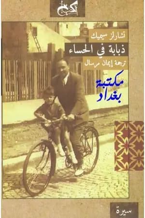 ذبابة في الحساء