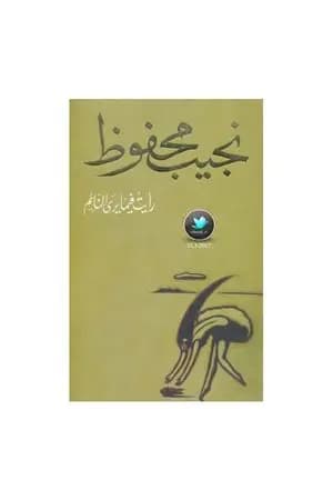 رأيت فيما يرى النائم
