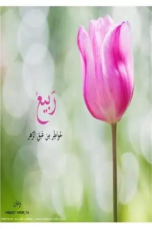 ربيع - خواطر من عبق الزهر