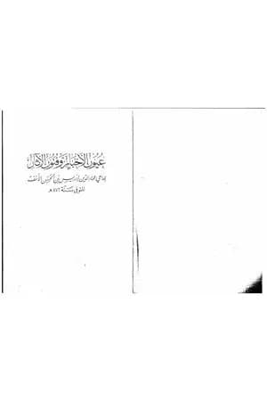 عيون الأخبار وفنون الآثار - السبع الثاني