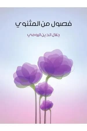 فصول من المثنوي
