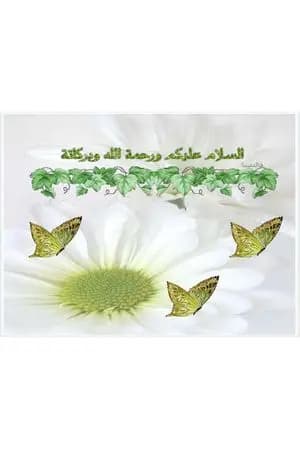 فصيلة الدم والغذاء المناسب