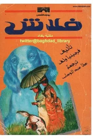 فلاش
