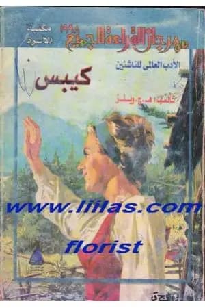 كيبس