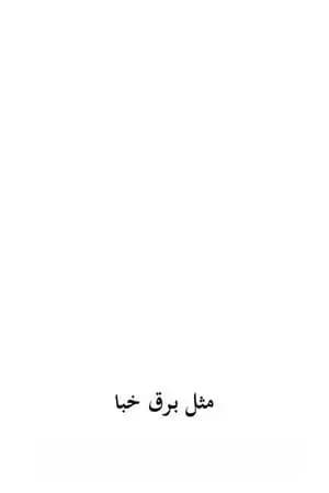 مثل برق خبا