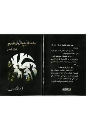مشاهدات بديع الزمان النورسي