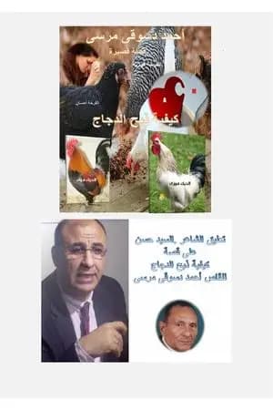 نقد لقصة ذبح الدجاج للقاص أحمد دسوقي - السيد حسن