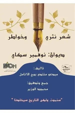 نوفمبر سكاي