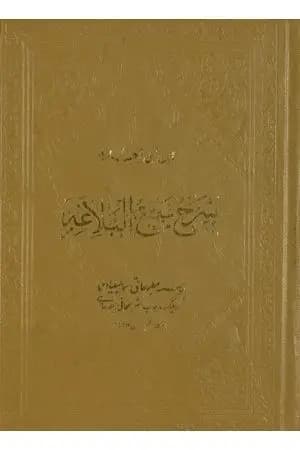 شرح نهج البلاغة - ج1 - ج2: تحقيق محمد أبو الفضل إبراهيم