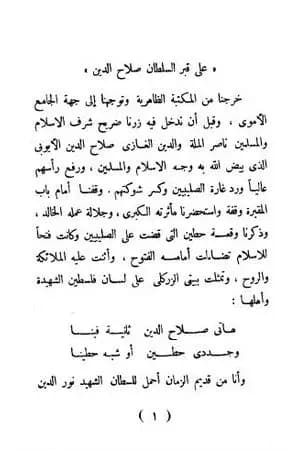 صلاح الدين الأيوبي البطل الناصر لدين الله