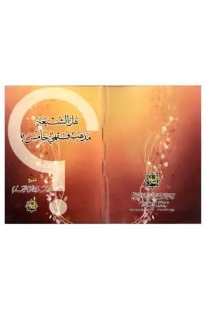 هل الشيعة مذهب فقهي خامس ؟